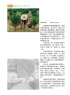 刘振炎《新会风•陈皮韵》摄影作品欣赏(27)_在线影展的作品